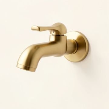Cassidy Wall Mounted Bathroom Faucet (synthetic illustration; no displayed measurements)