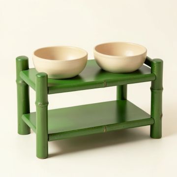Hazel Canyon Pet Feeding Stand With Two Plain Empty Bowls - Green (synthetic illustration; no displayed measurements)