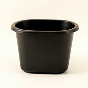 Laurel Crest Empty Raised Planter - Black (synthetic illustration; no displayed measurements)