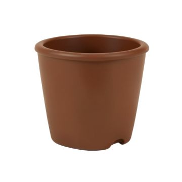 Owens Self-Watering Plastic Elevated Planter