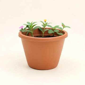Flower House Planter Fairy Garden (synthetic illustration; no displayed measurements)