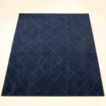 Linden Canyon Rectangular Area Rug - Navy (synthetic illustration; no displayed measurements)