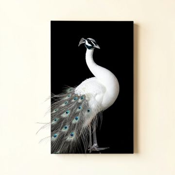 White Peacock On Black - Print On Canvas (synthetic illustration; no displayed measurements)