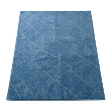 Linden Bend Rectangular Area Rug - Blue