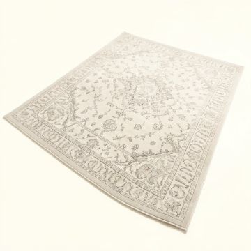 Aiken Oriental Ivory/Sliver Area Rug (synthetic illustration; no displayed measurements)