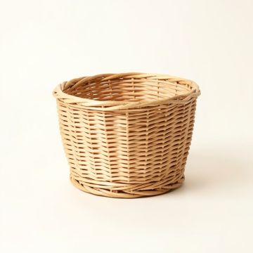 Woven Rattan Planter Basket (synthetic illustration; no displayed measurements)