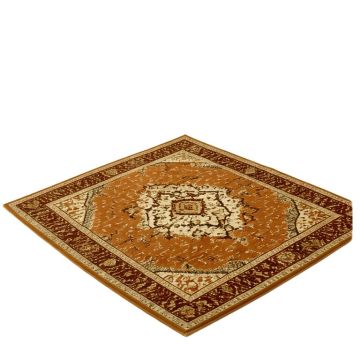 Arteaga Oriental Rust Area Rug