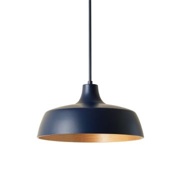 Juniper Arc Pendant Light Suspended From One Plain Cable