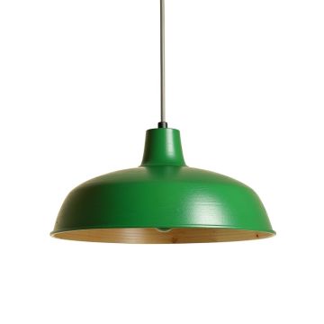 Fern Canyon Pendant Light Suspended From One Plain Cable - Green