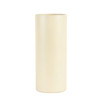 Moss Canyon Empty Decorative Vase - Ivory