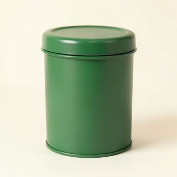 Reed Crossing Storage Canister With Lid - Green (synthetic illustration; no displayed measurements)
