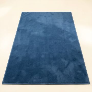 Reed Bluff Rectangular Area Rug - Blue (synthetic illustration; no displayed measurements)