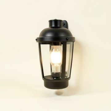 Gunnora 1 - Bulb Outdoor Barn Light With Dusk To Dawn (synthetic illustration; no displayed measurements)