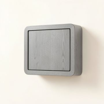 Brook Dell Wall-Mounted Entry Cabinet - Gray (synthetic illustration; no displayed measurements)
