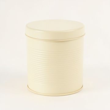 Moss Canyon Storage Canister With Lid - Cream (synthetic illustration; no displayed measurements)