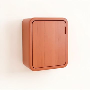 Maple Dale Wall-Mounted Laundry Cabinet - Terracotta (synthetic illustration; no displayed measurements)