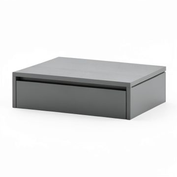 Maple Falls Desktop Monitor Riser - Gray (synthetic illustration; no displayed measurements)