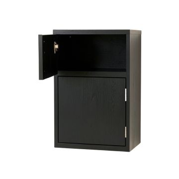 Juniper Crossing Wall-Mounted Entry Cabinet - Black