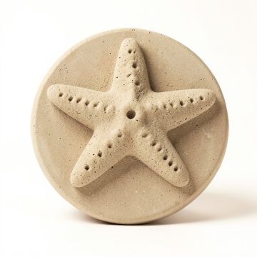 6 '' X 6 '' Cement Star Fish Fossil Impression Medallion Tile In Buff (synthetic illustration; no displayed measurements)