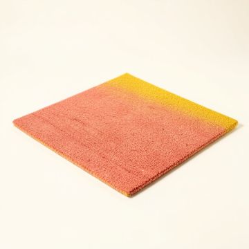 Epes Hello 30 In . X 18 In . Non-Slip Outdoor Door Mat (synthetic illustration; no displayed measurements)
