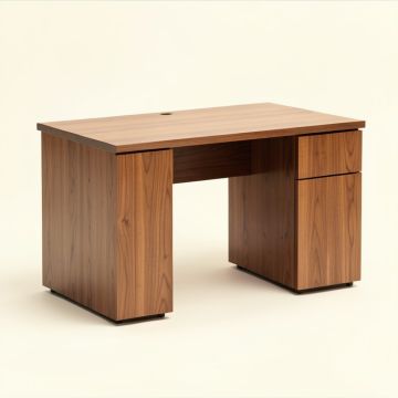 Reed Mid-Century Modern 2-Drawer Multicolor Wood Computer Desk (synthetic illustration; no displayed measurements)