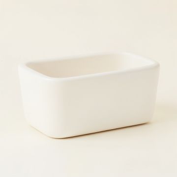 Wren Crossing Empty Railing Planter With Integral Brackets - White (synthetic illustration; no displayed measurements)