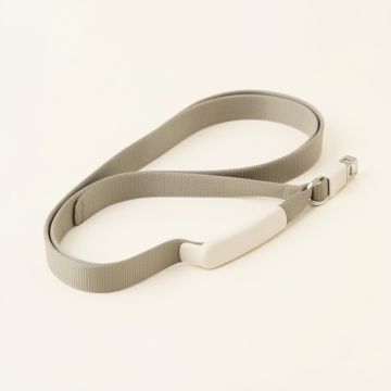 5 Ft Standard Dog Leash Strap With Padded Handle And Spring For Medium Large Dog (synthetic illustration; no displayed measurements)