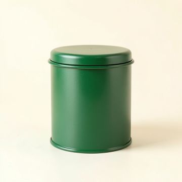 Stone Canyon Storage Canister With Lid - Green (synthetic illustration; no displayed measurements)