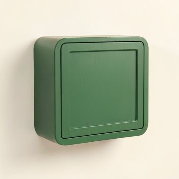 Ridge Canyon Wall-Mounted Entry Cabinet - Green (synthetic illustration; no displayed measurements)