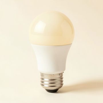 10 Watt ( 60 Watt Equivalent ) (synthetic illustration; no displayed measurements)