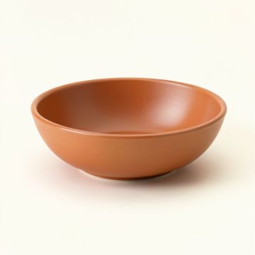 Birch Arc Dining Bowl (synthetic illustration; no displayed measurements)