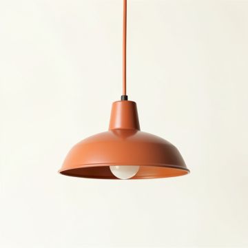 Cliff Arc Pendant Light Suspended From One Plain Cable (synthetic illustration; no displayed measurements)