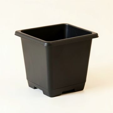 Cove Bend Empty Planter - Black (synthetic illustration; no displayed measurements)