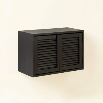 Flint Canyon Wall-Mounted Entry Cabinet - Black (synthetic illustration; no displayed measurements)