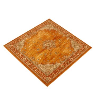 Valenzuela Oriental Orange Area Rug