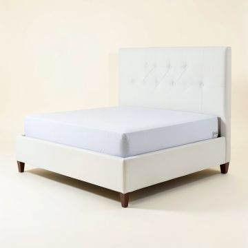 Rickman Upholstered Standard Bed (synthetic illustration; no displayed measurements)