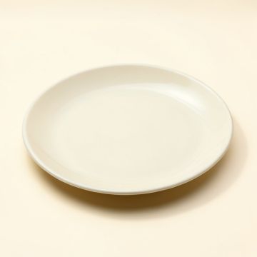 Soileau 9 '' Melamine Salad Plate (synthetic illustration; no displayed measurements)