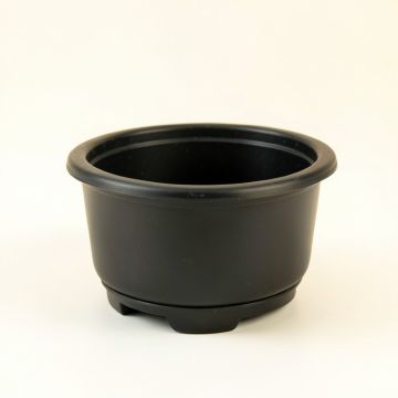 Hazel Bridge Empty Raised Planter - Black (synthetic illustration; no displayed measurements)