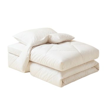 Placencia 3 Piece Queen Duvet Cover Set
