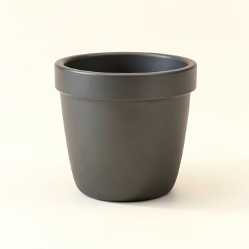 Siguna Resin Pot Planter (synthetic illustration; no displayed measurements)