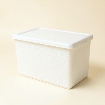 Olive Brook Closed Outdoor Storage Box - White (synthetic illustration; no displayed measurements)