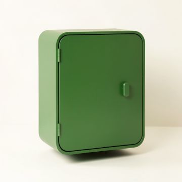 Oak Dell Wall-Mounted Laundry Cabinet - Green (synthetic illustration; no displayed measurements)