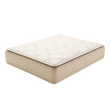 Freels 9 '' Plush Innerspring Mattress