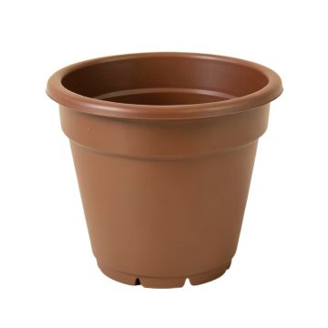 Aashika Self-Watering Plastic Elevated Planter