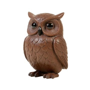 Beom Owl Of Bibliography
