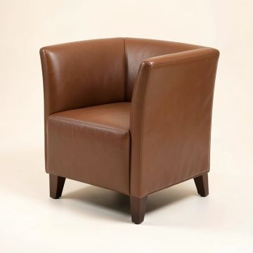 Aayush Side Chair (synthetic illustration; no displayed measurements)