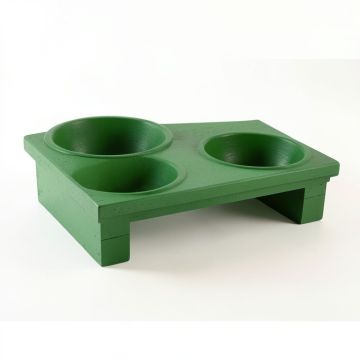 Ash Brook Pet Feeding Stand With Two Plain Empty Bowls - Green (synthetic illustration; no displayed measurements)