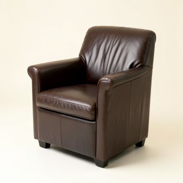 Payden Leather Upholstered Dining Chair In Espresso (synthetic illustration; no displayed measurements)