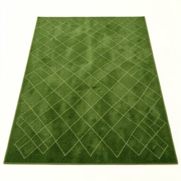 Shore Crest Rectangular Area Rug - Green (synthetic illustration; no displayed measurements)