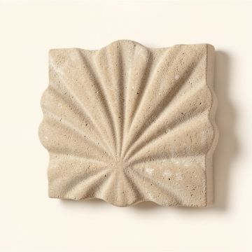 6 '' X 6 '' Seastone Cement Scallop Fossil Impression Decorative Accent Tile In Buff (synthetic illustration; no displayed measurements)